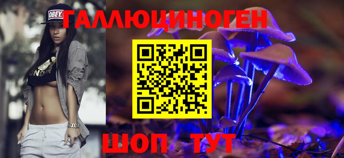Галлюциногенные грибы Psilocybe Асино